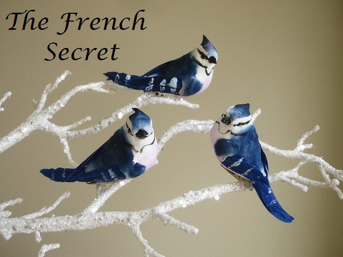 Feathered Bird Decorations Decoration For Home Blue Bird Feather Colourful Clip Decoration
