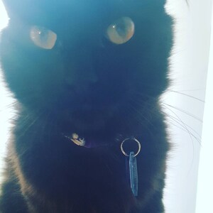 Photo de l'acheteur Erin Glass, qui a évalué cet article avec l'Etsy app for Android.