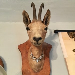 Buyer photo Stephanie Buck, who reviewed this item with the Etsy app for iPhone.
