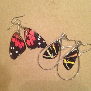 Buyer photo shybio, who reviewed this item with the Etsy app for iPhone.