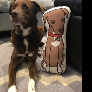 Buyer photo laurensumner, who reviewed this item with the Etsy app for iPhone.