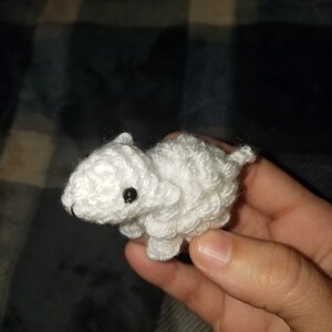 Buyer photo fcarman78, who reviewed this item with the Etsy app for Android.