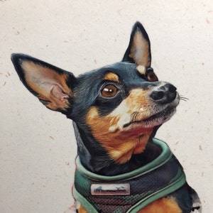 Photo de l'acheteur Ben, qui a évalué cet article avec l'Etsy app for iPhone.