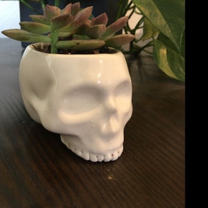 Buyer photo jfeehan04, who reviewed this item with the Etsy app for iPhone.