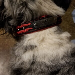 Buyer photo Kacy Kinney, who reviewed this item with the Etsy app for Android.