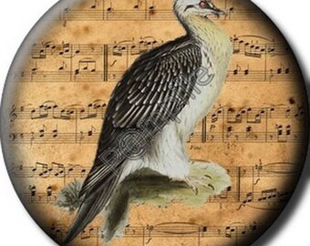 Cabochon resin 25 mm - bird song (760) stick