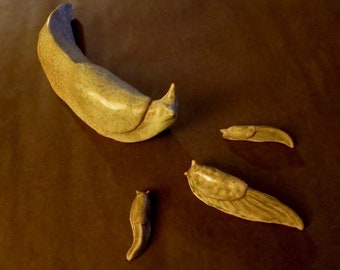 Old Ceramic Banana Slug Family From Artist Dave Archers Museum