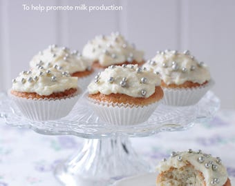 Sneak Peek Recipe Booklet (Nourishing recipes for breastfeeding mums)