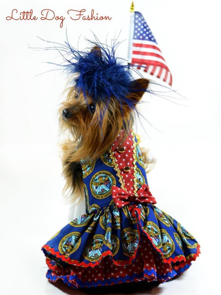 Dog dress Harness dog dress Patriotic United States Armey