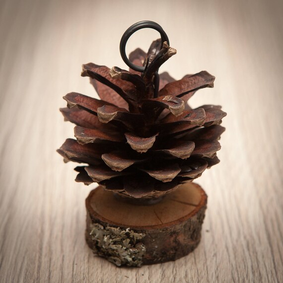 10 pcs Pine Cone Place Card Holders Rustic Woodland Wedding