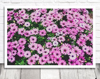 Purple Flower Field, Floral Print, Floral Photo Print, Floral Photography, Flower Printable Art, Digital Download, Digital Print, Floral Art