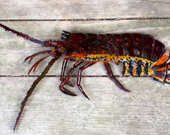 Metal sculpture of spiny lobsters.