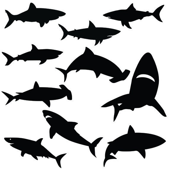 Shark svg silhouette pack shark clipart digital download