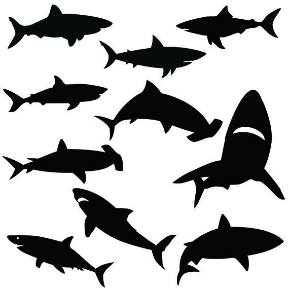 Free Free 197 Shark Svg Silhouette SVG PNG EPS DXF File