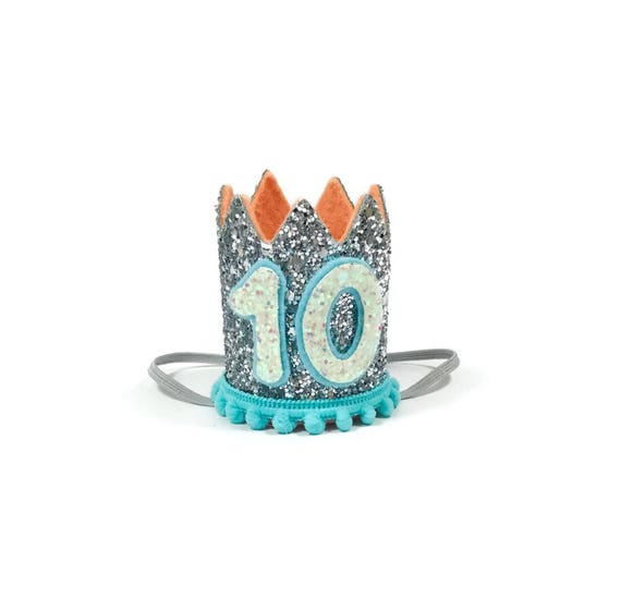 10th Birthday Crown || Any Age || Dog Birthday Hat || Pet Party || Birthday Crown