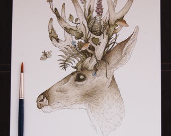 ORIGINAL Spring Buck Watercolour and Ink Illustration