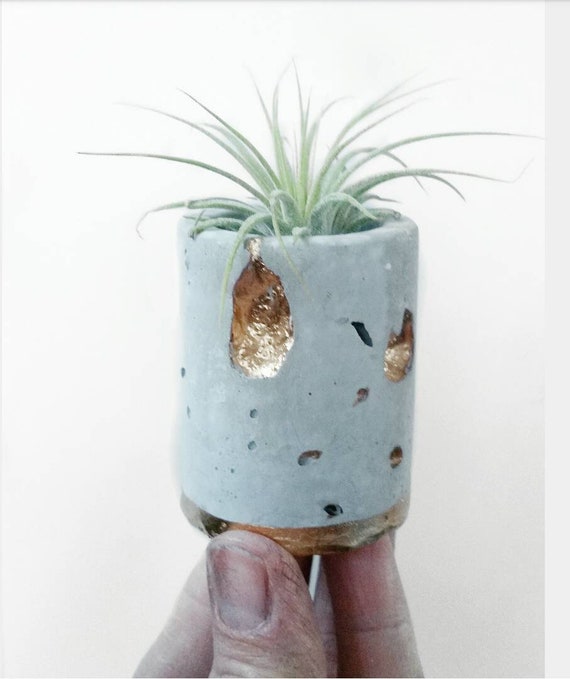Concrete Gold Leafing Air Planter,Modern Metallic planter,Cactus Planter,Cactus Decor, Succulent Planter, Indoor Planter,Concrete Home Decor