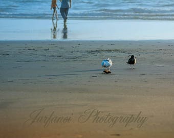 A day at the Beach.