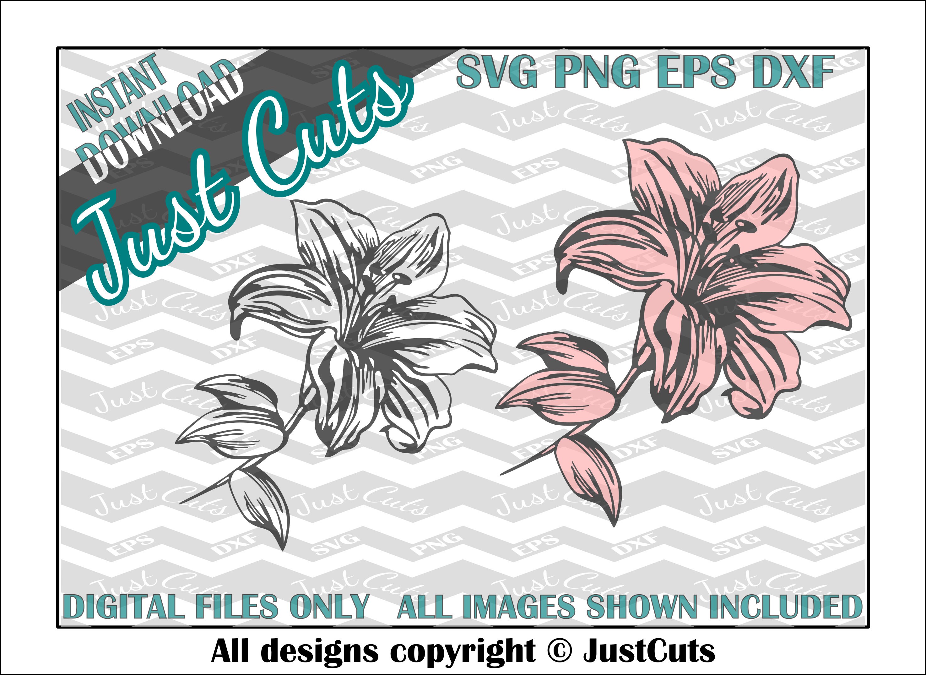 Free Free Lily Flower Svg Free 62 SVG PNG EPS DXF File