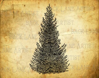 Spruce, Pine, Fir Tree Christmas Tree Clipart Lineart Illustration Instant Download PNG JPG Digi Line Art Image Drawing L446