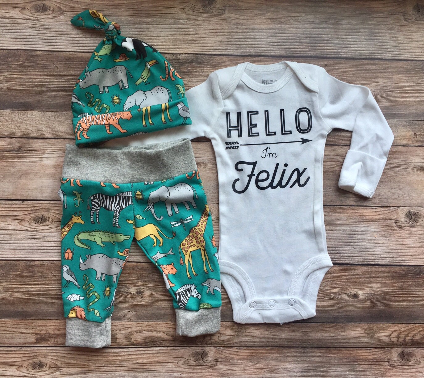 Safari Zoo Animal Newborn Set Newborn name outfit coming