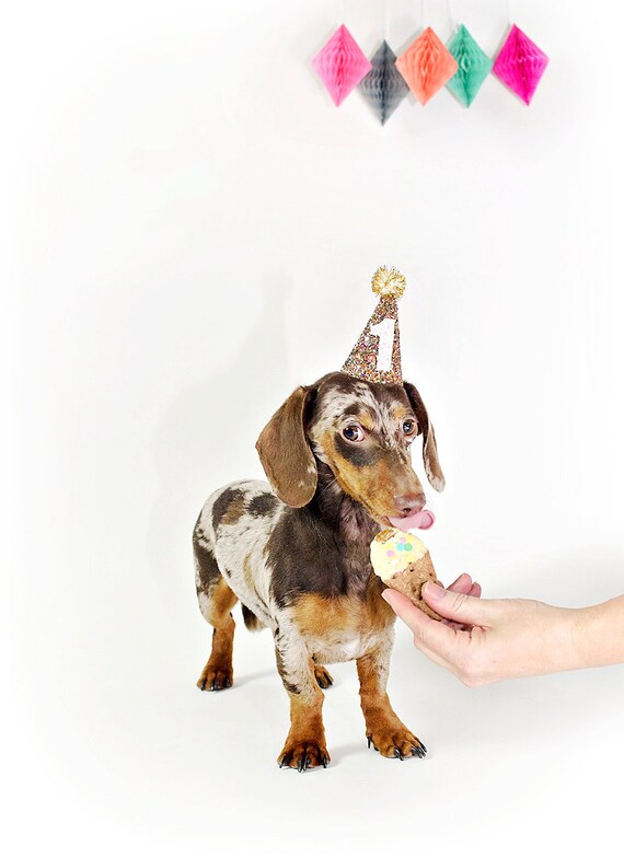 Dog Hat || Dog Clothes || Dog Party Hat || Cat Hat || Animal Hat Dog Crown || Busters Party Shop