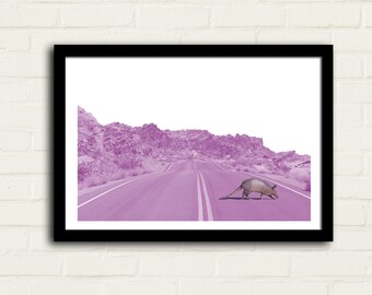 Armadillo Crossing Print 12x18 landscape