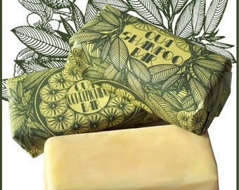 Combo Lemon & Rosemary Solid Shampoo and Conditioner Bar