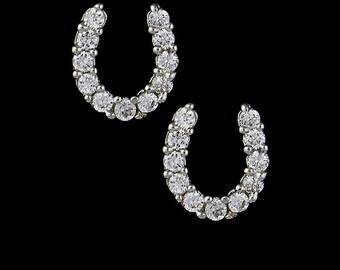 Equestrian Earrings, Horseshoe Earrings, Horseshoe Sparkly Earrings, Horse Jewelry, Equestrian Jewelry, Equestrian earrings, horse earrings