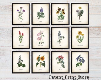 Vintage Wildflower Prints. Botanical Print Set. Wildflower Art. Vintage Botanical Art. Wildflower Decor. Farmhouse Art. Botanical Wall Art.