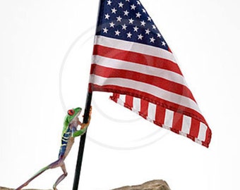 American Flag, Frog and Flag. Patriotic Tree Frog, Americana
