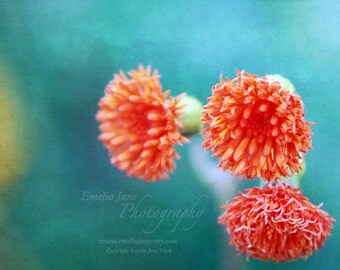 Three Sisters - Signed Fine Art Photography Print