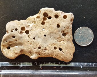Holey Stone / Hag Stone 3.5"