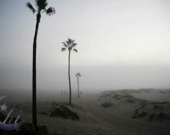 Nature Photography. Beach Photography. Spring and Summer Photography. 8x12 Print