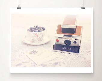 blueberry photograph vintage camera photograph vintage camera print still life photograph food photography still life photograph