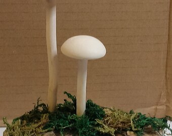 Pair of hand carved mushrroms on log (brittlestem)