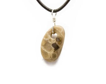 Petoskey Stone Necklace Matte Petoskey Stone Jewelry Pendant Michigan Coral Fossil Beach Stone Leather Silver Gift for Women Her ET220
