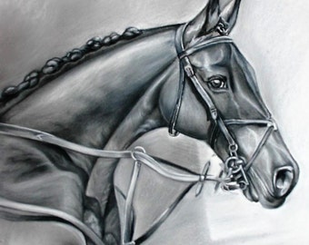 Kunst-Originalgemälde - Ein Rappe - Pastell - inklusive Echtholzrahmen in Anthrazit - 2009