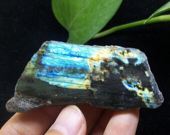 Polished strong iridescent Labradorite B3855
