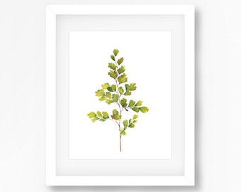 Single Maidenhair Fern Print