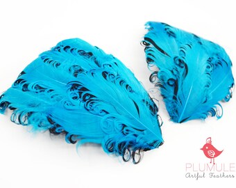 1 pcs - CURLED NAGORIE goose feather pad, turquoise on black