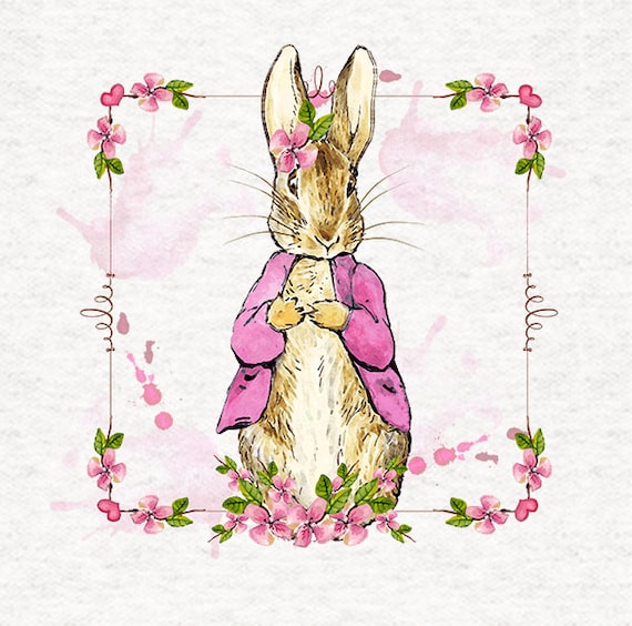 Peter Rabbits sister Flopsy in her pink coat floral border