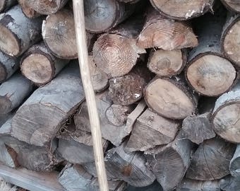 Hand carved oak walking stick