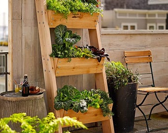 Vertical Planter , Leaning planter, vertical garden, succulent planter ,wall ,flower planter , ladder , Farmer D