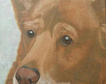 Custom Pet Portrait
