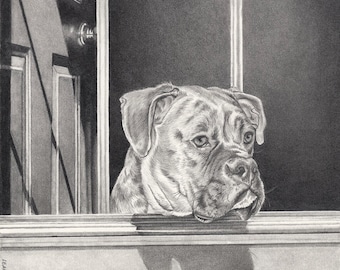 Portrait animalier personnalisé + complexe de fond 11 x 14