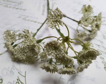 Artificial Queen Anne Lace