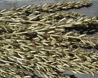 Gold Evening Primrose Seed Stalks, painted. Custom colors on request. Floral arrangements, bouquets, dried flowers.