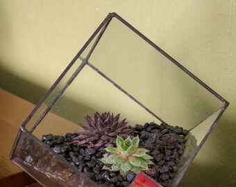 Cube terrarium geometric
