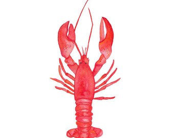 Lobster Watercolor Print (FREE U.S. Shipping)